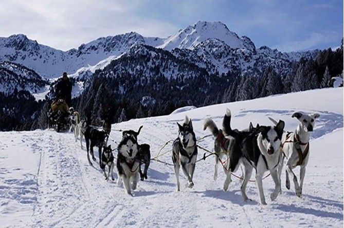 Paseo en mushing