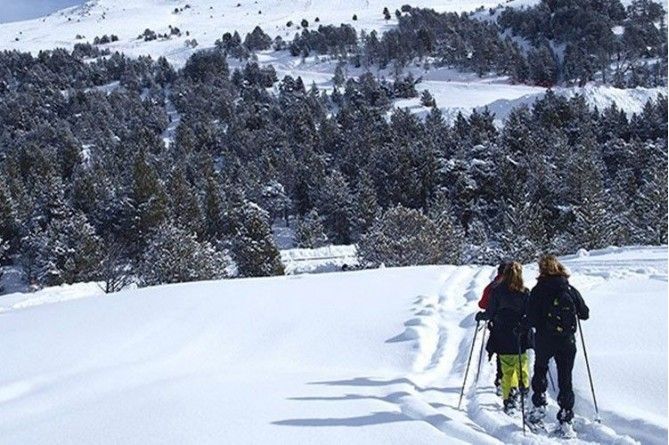 Paseo en mushing