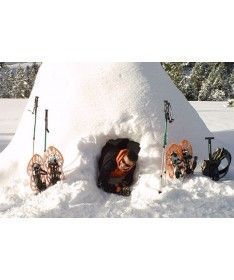 Paseo en mushing