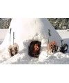 Paseo en mushing