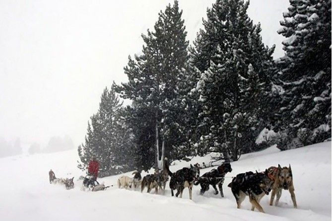 Paseo en mushing
