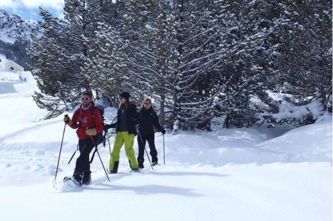 Paseo en mushing