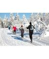 Paseo en mushing