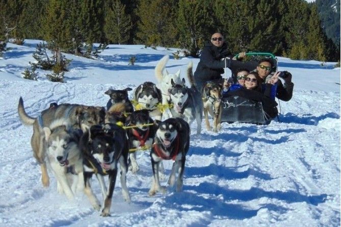 Paseo en mushing