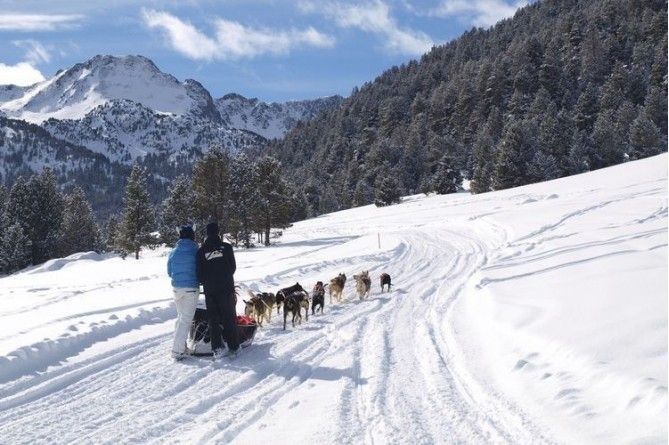 Paseo en mushing