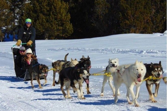 Paseo en mushing