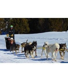 Paseo en mushing