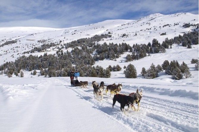Paseo en mushing