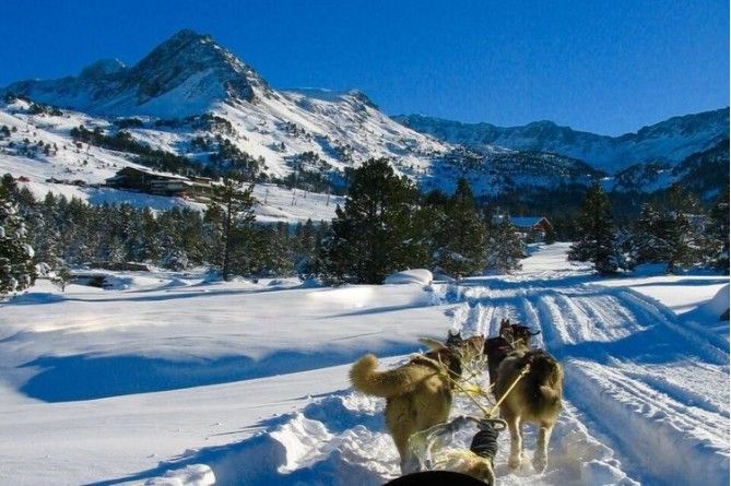 Paseo en mushing