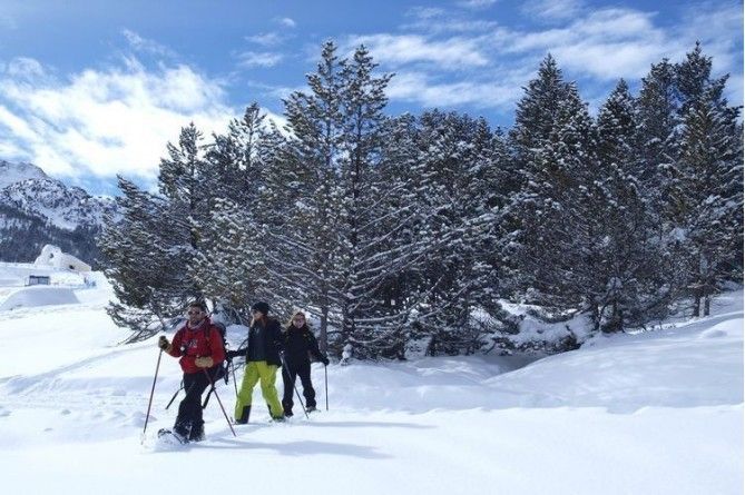 Paseo en mushing